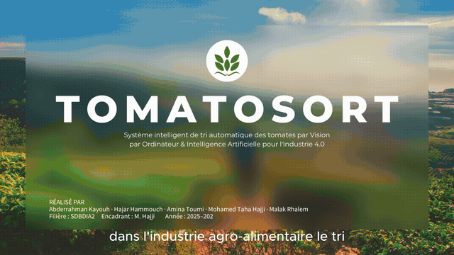 TomatoSort Pro — Real-Time Tomato Sorting (CV)